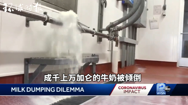 因牛奶过剩 美国数十万加仑牛奶被倾倒